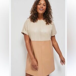 Anthropologie Beige and Tan Dress